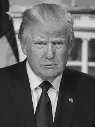 ../../../_images/grayscale-trump.jpg