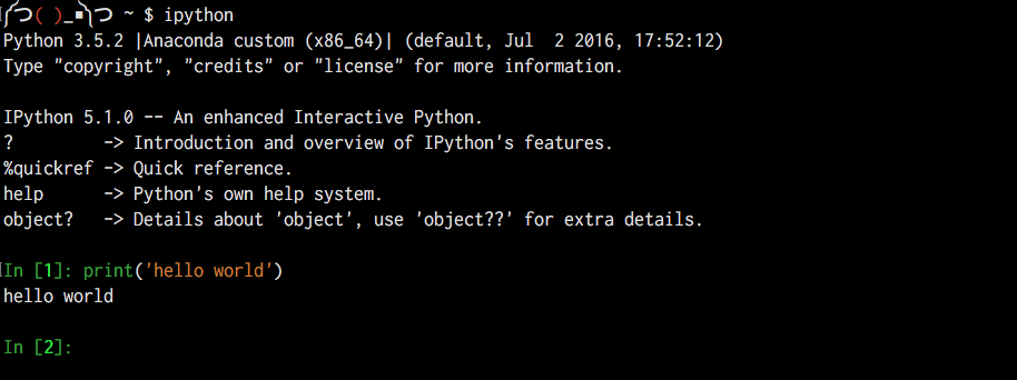 ../../_images/ipython-shell-start.png
